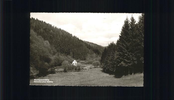 Huemmerich Westerwald Waldgasstätte Hümmericher Mühle M. Runk