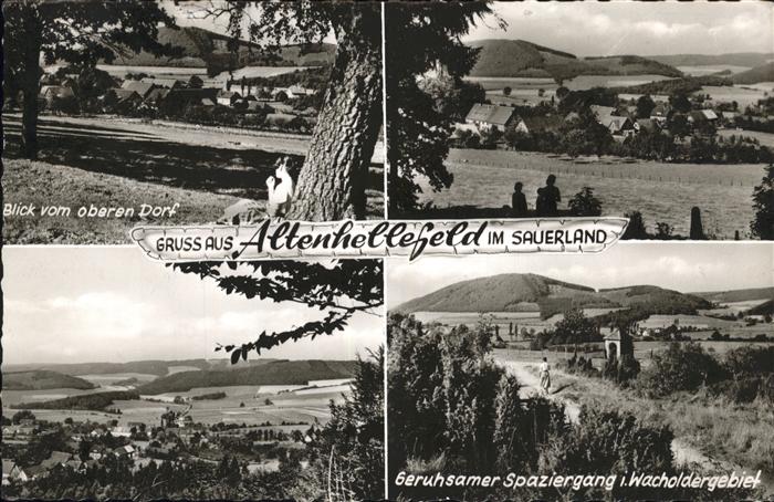 Altenhellefeld Wacholdergebiet