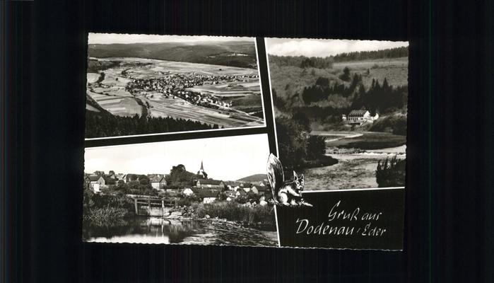 Dodenau Eichhörnchen Eder Flugaufnahme