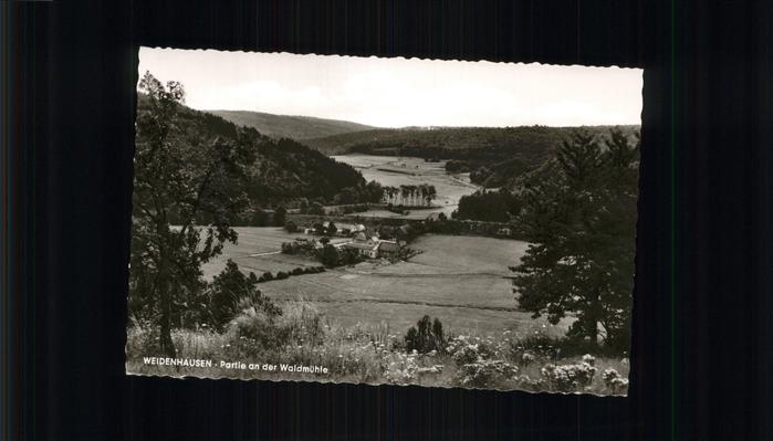 Weidenhausen Gladenbach Waldmühle