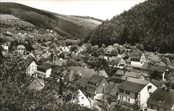 Willingen Sauerland Teilansicht