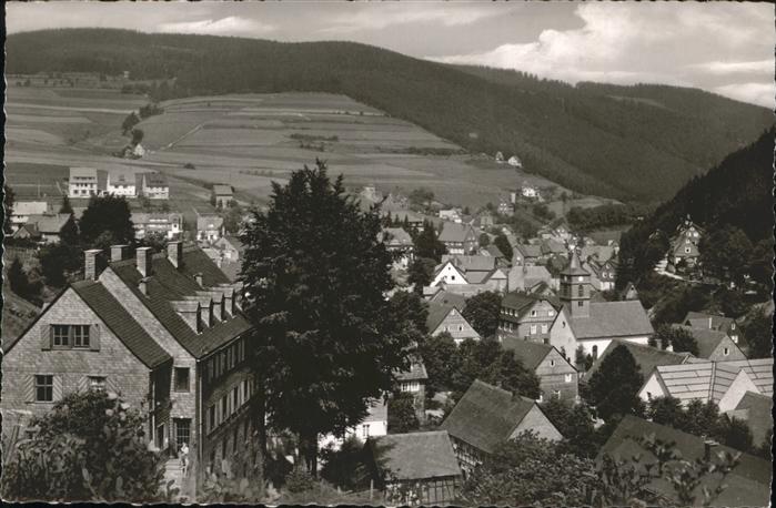 Willingen Sauerland Teilansicht