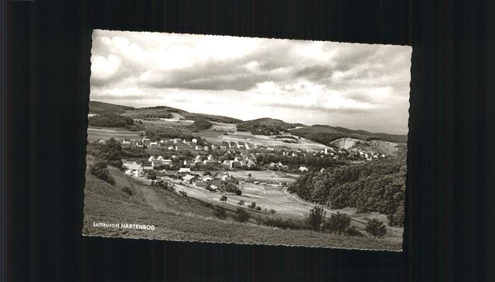 Hartenrod Gladenbach Gesamtansicht