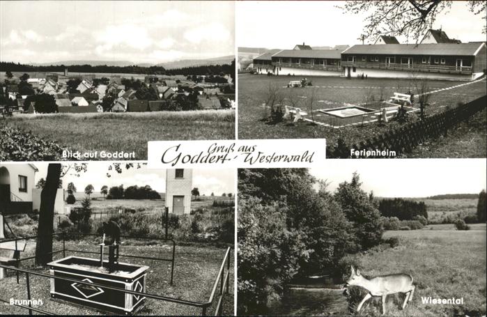 Goddert Wiesental Reh Ferienheim Brunnen