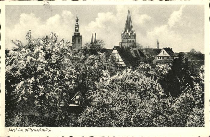 Soest Arnsberg Blütenschmuck