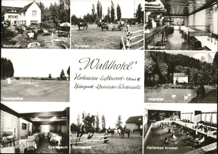 Horhausen Westerwald Waldhotel Hallenbad Reitplatz Tennisplä