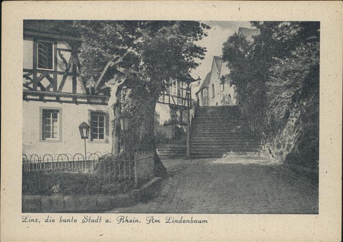 Linz Rhein Am Lindenbaum