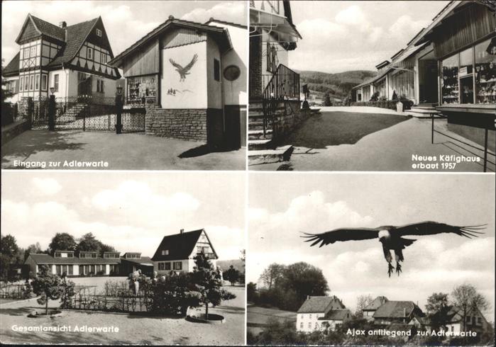 Berlebeck Detmold Lippe NRW Kaefighaus Ajax Adlerhaus Adlerwarte