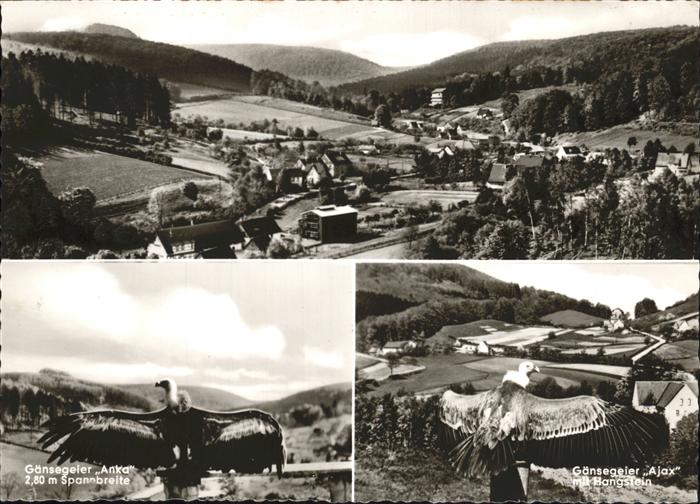 Berlebeck Adlerwarte