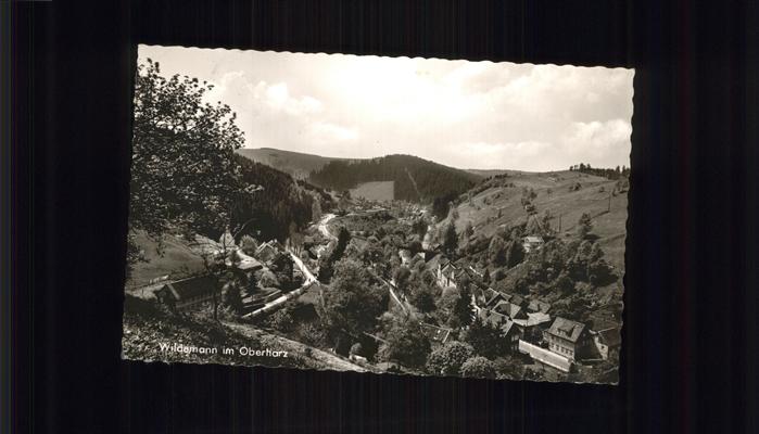Wildemann Harz Goslar Niedersachsen Teilansicht Wildemann