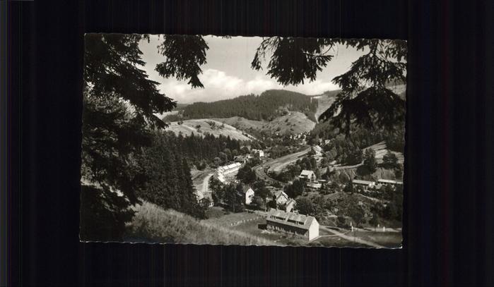 Wildemann Harz Goslar Niedersachsen Teilansicht Wildemann