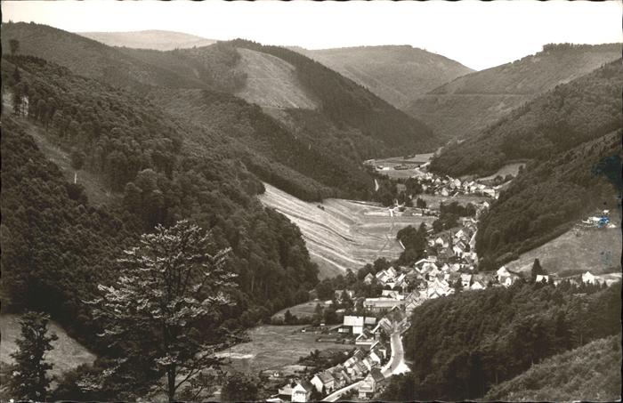 Sieber Herzberg am Harz Osterode Niedersachsen Teilansicht Luftkurort Sieber