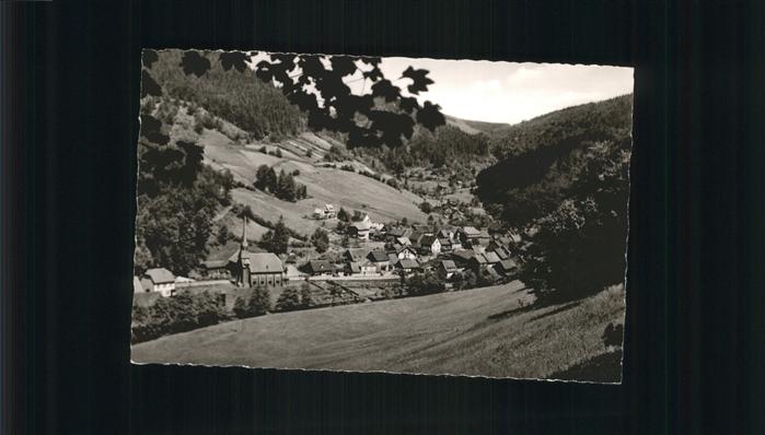 Sieber Herzberg am Harz Osterode Niedersachsen Teilansicht Gebirgskurort Sieber
