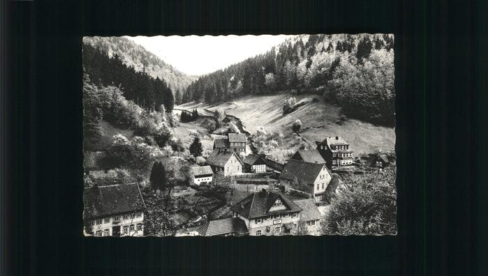 Zorge Teilansicht Zorge Elsbachtal