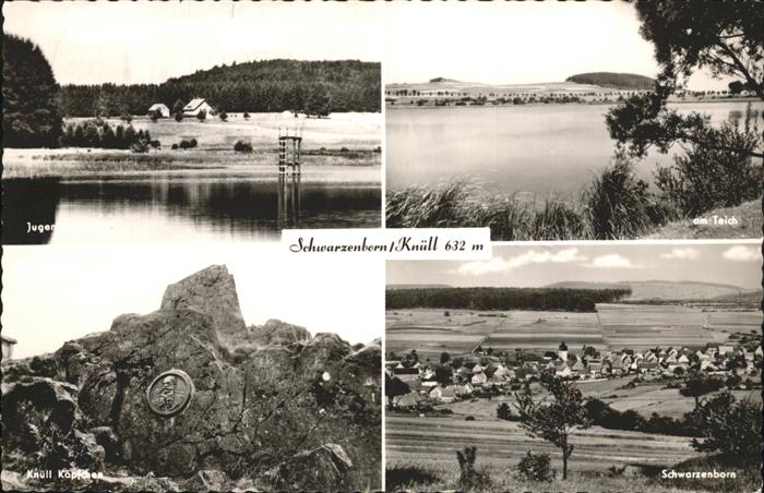 Schwarzenborn Knuell Knüll Köpfchen