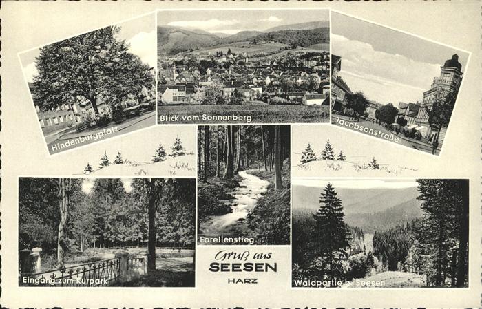 Seesen Harz Hindenburgplatz Kurpark Forellenstieg J