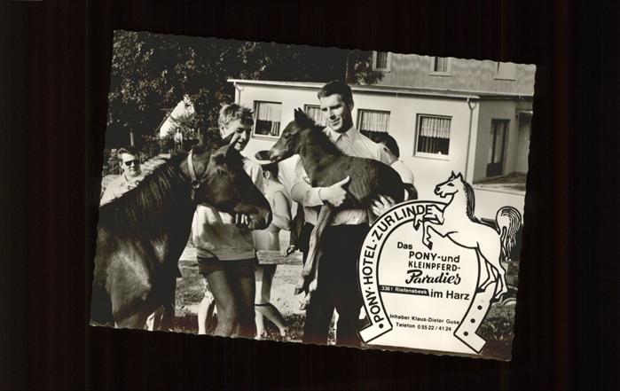 Pony Tiere Pony Hotel zur Linde Riefensbeek