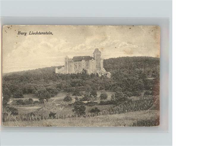 Liechtenstein  Burg