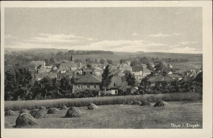 Thum Erzgebirge Panorama