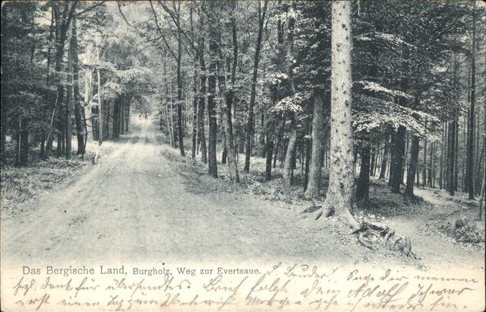 Bergisches Land Burgholz Weg zur Evertsaue