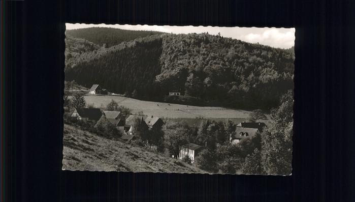 Doernholthausen Blick auf den Ort