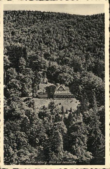 Bad Harzburg Blick zur Sennhütte