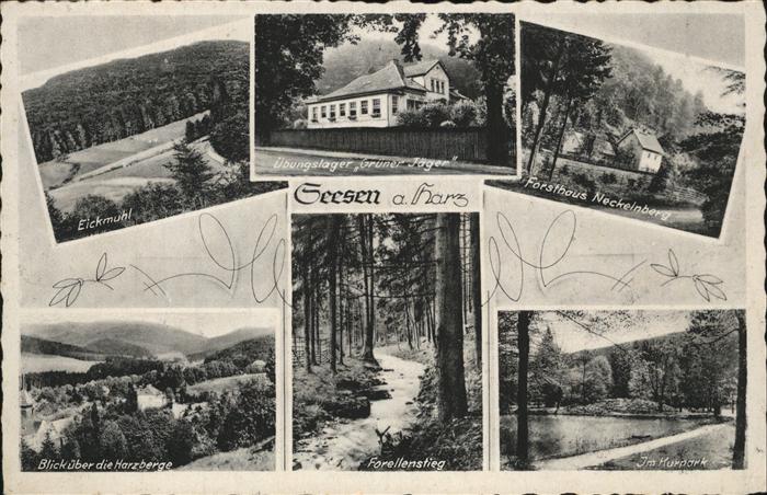 Seesen Harz Eichmuehl Harzberge Forellenstieg Forsthaus uebungsplatz Gruener Jae