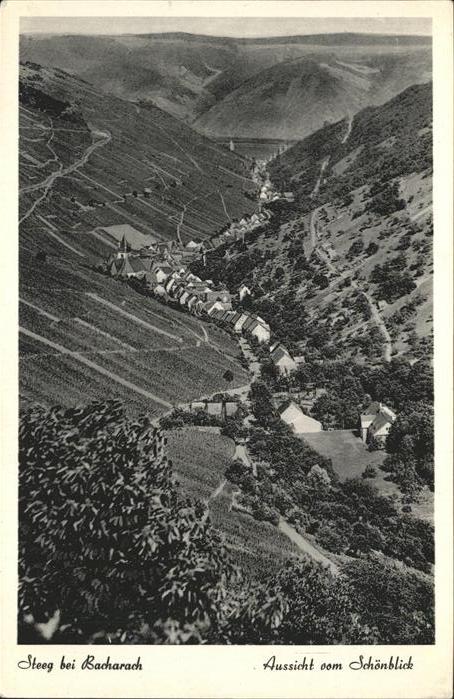 Steeg Bacharach Aussicht vom Schönblick