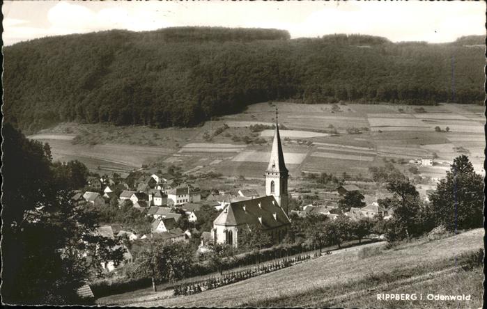 Rippberg Gesamtansicht