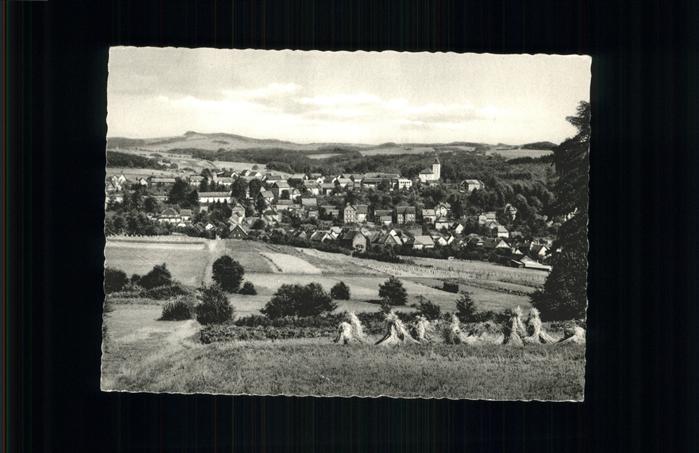 Marienberg Westerwald Gesamtansicht