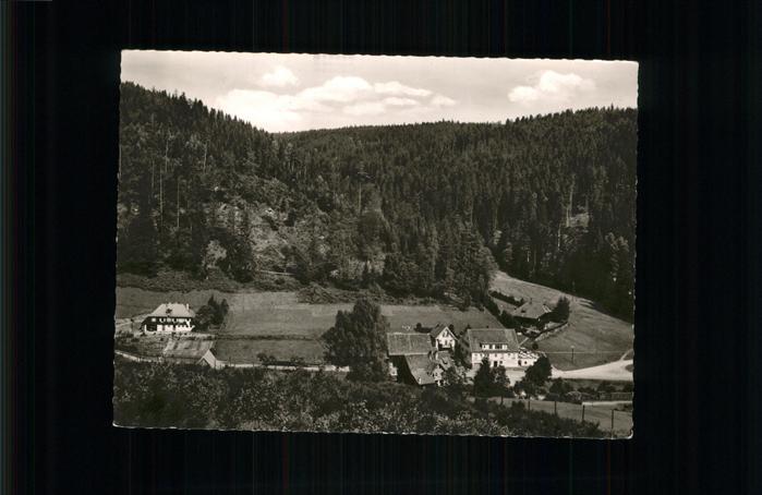 Bad Wildbad Bad Herrenalb Gasthaus Pension Eyachmüh