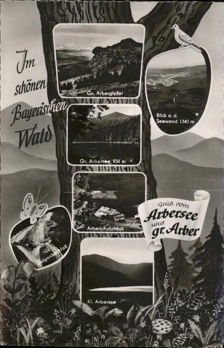 Grosser Arber Gr Arbergipfel Gr Arbersee Schutzhaus K