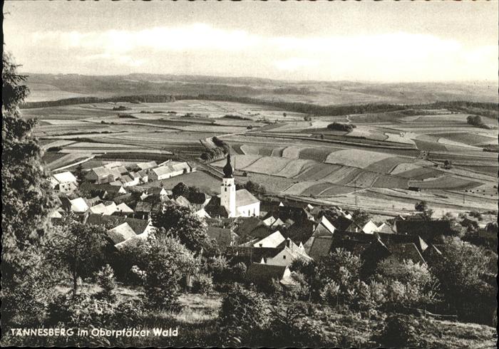 Taennesberg Panorama