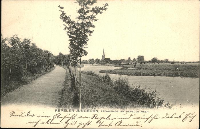 Jungborn Repeler Jungborn Promenade