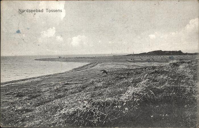 Tossens Nordseebad Strand