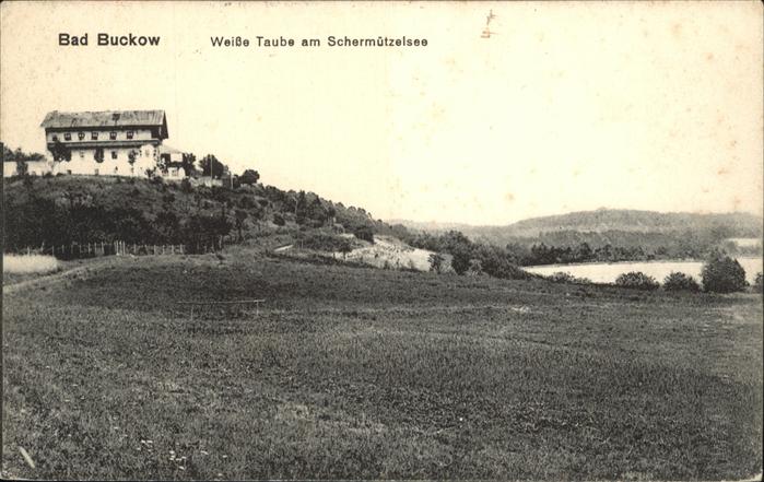 Buckow Maerkische Schweiz Weisse Taube am Schermützelsee