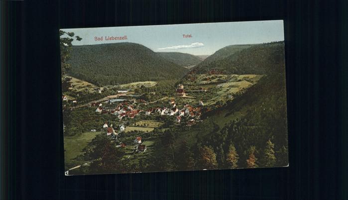 Bad Liebenzell Panorama