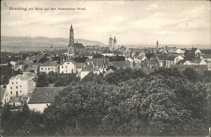 Straubing Blick über die Stadt Bayerischer Wald
