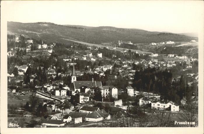 Pressbaum Niederoesterreich Panorama