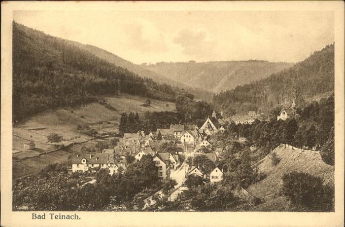 Bad Teinach-Zavelstein Panorama