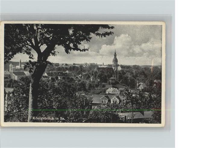 Koenigsbrueck Blick über die Stadt Kirche