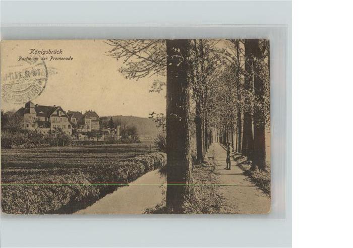Koenigsbrueck Partie an der Promenade Feldpost