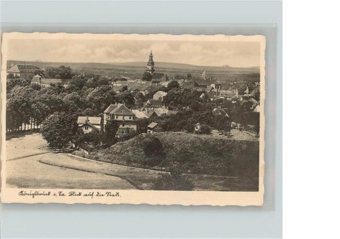 Koenigsbrueck Blick auf die Stadt Kirche