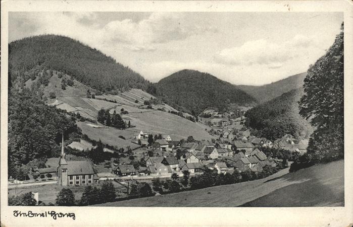 Herzberg Harz Gesamtansicht
