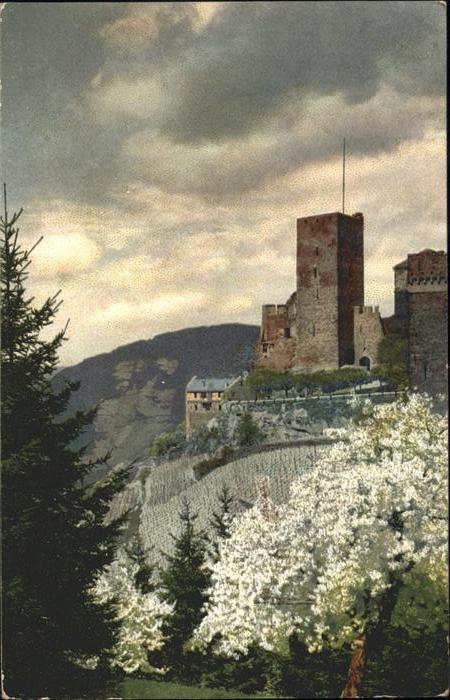 Bonn Rhein Burg Baumblüte