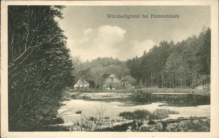 Hummelshain Würzbachgrund Weiher
