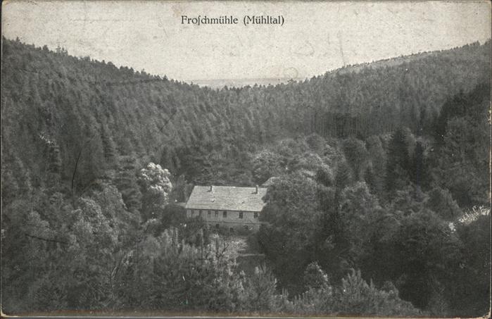 Bad Klosterlausnitz Froschmühle Mühltal