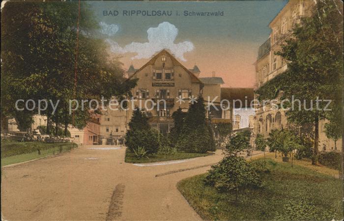Bad Rippoldsau Schwarzwald Ortspartie