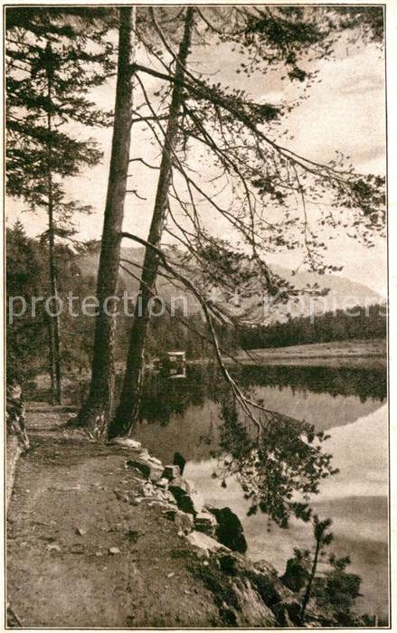 Lienz Tirol Tristacher See