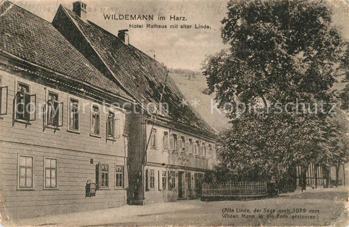 Wildemann Harz Goslar Niedersachsen Hotel Rathaus mit alter Linde